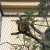 Wienwoche 039